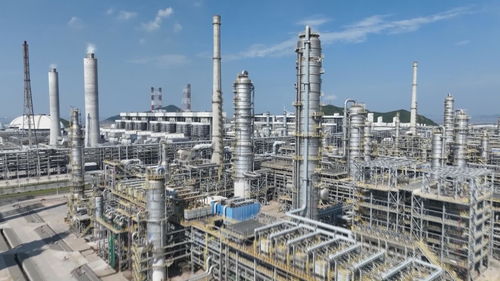 推進大宗商品資源配置樞紐建設(shè) 魚山島奮勇當先