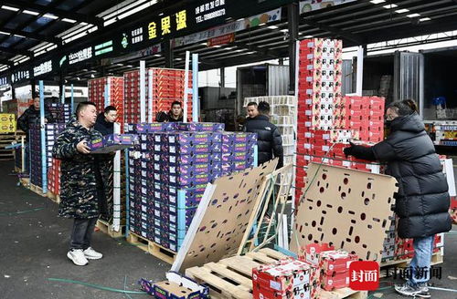 車厘子成年貨 頂流 蒜臺批發(fā)價回落 探訪西南最大農(nóng)產(chǎn)品批發(fā)交易市場 新春走基層